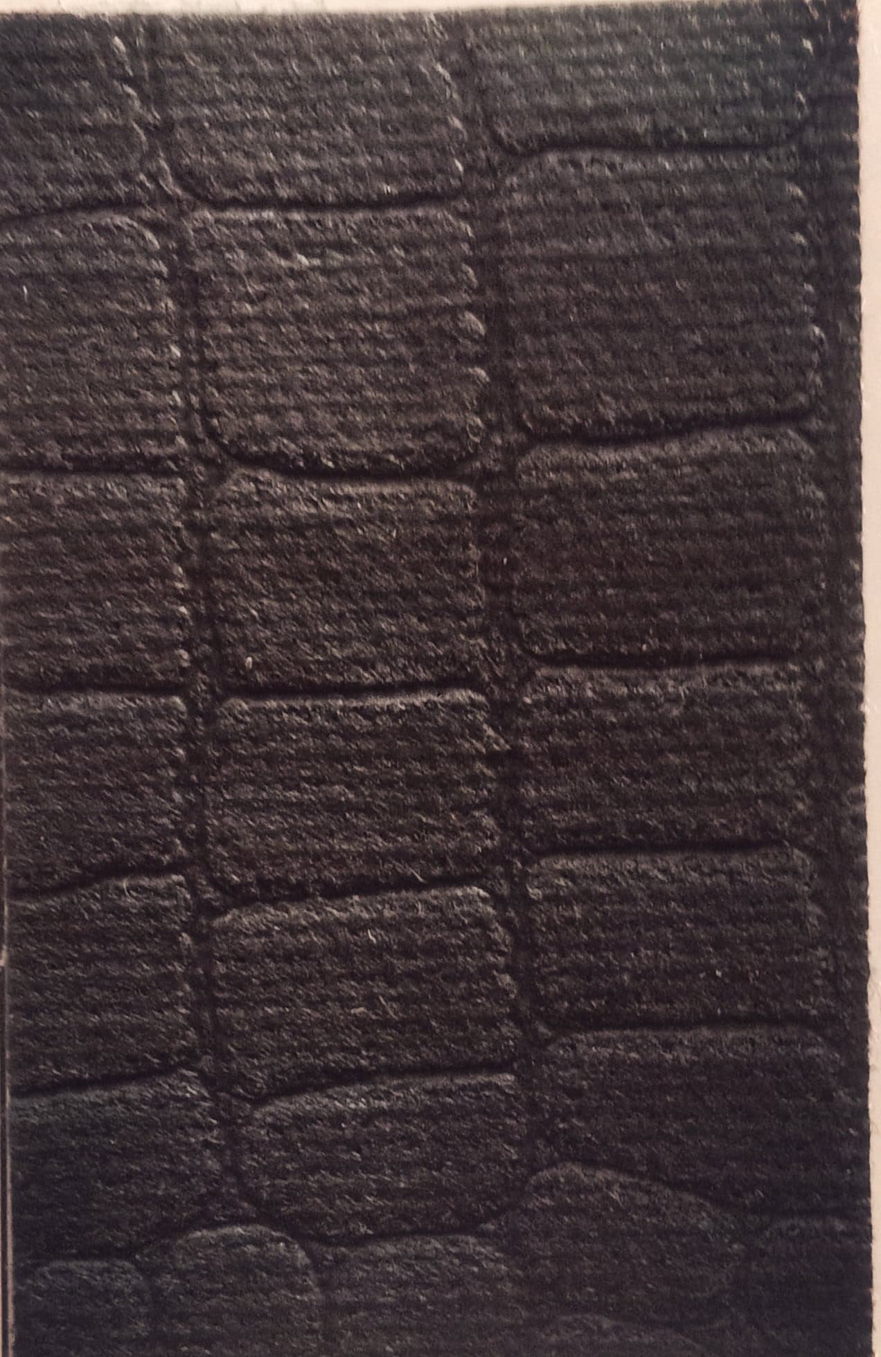 Multipurpose Fruit Leather Sleeve (Black) - Image 5